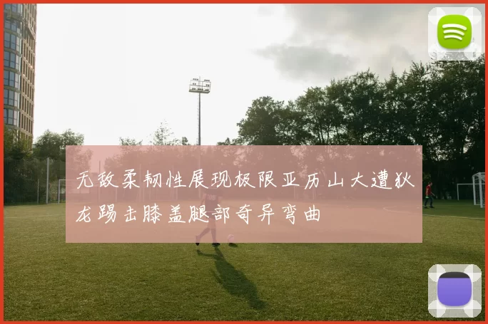 无敌柔韧性展现极限亚历山大遭狄龙踢击膝盖腿部奇异弯曲